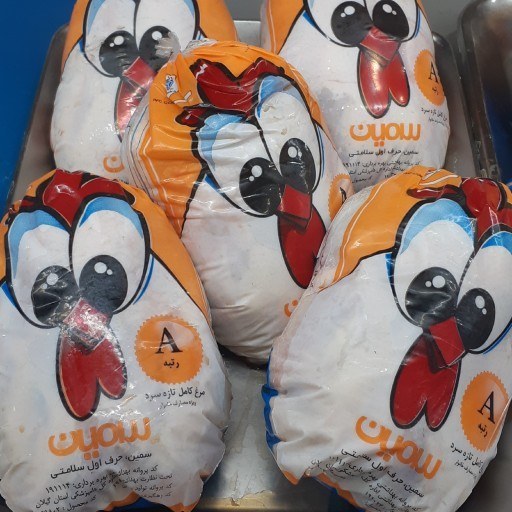 مرغ کامل کشتار روز بسته بندی شده کیلویی(ویژه تهران)