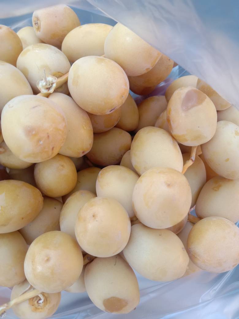 خارک زرد و رُطَب برحی خرمای نوبر آبادان(ارسال با پست ویژه)